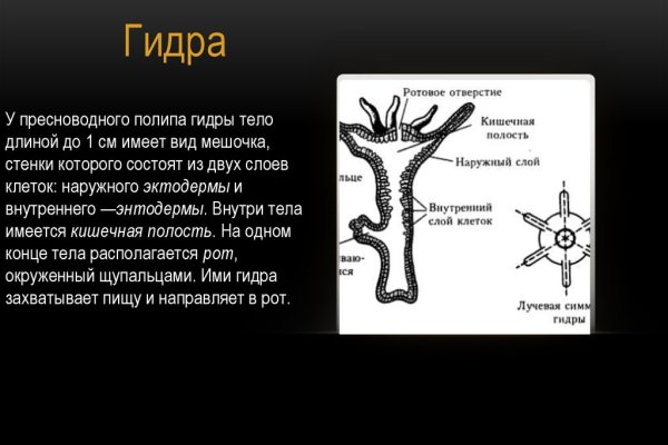 Сайт вместо гидры