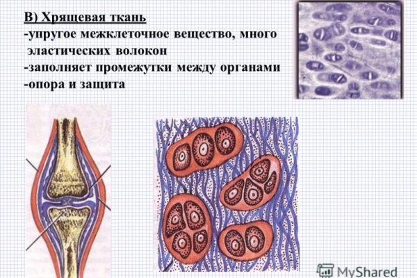 Tor kraken маркет